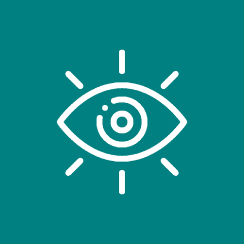 about-vision